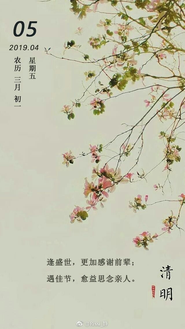 “再遇清明撒细雨，杳思远念插旌” ——记清明节